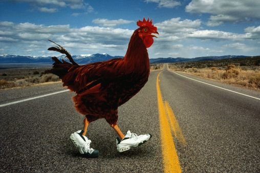Chicken road oficial, jugar chicken road